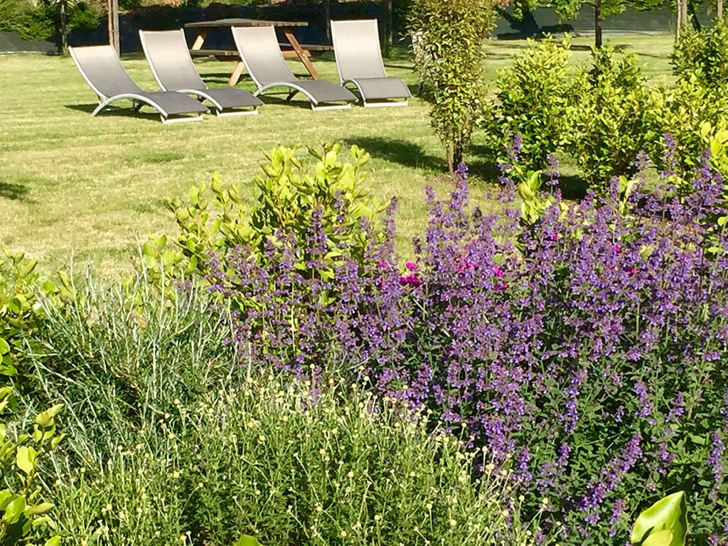Le gîte Émeraude – Image 2