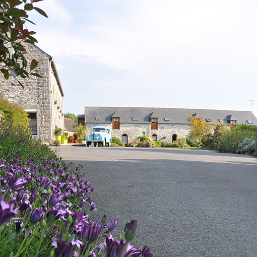 Le gîte Agapanthe – Image 3